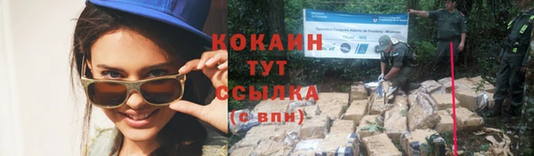 трава Белокуриха