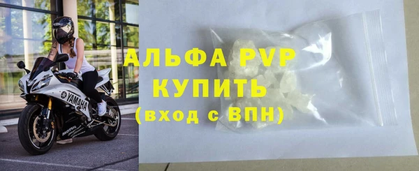 крисы Белоозёрский