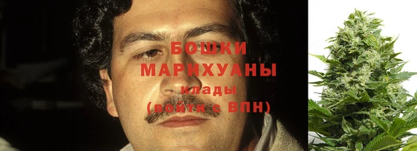 трава Белокуриха