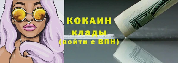 трава Белокуриха