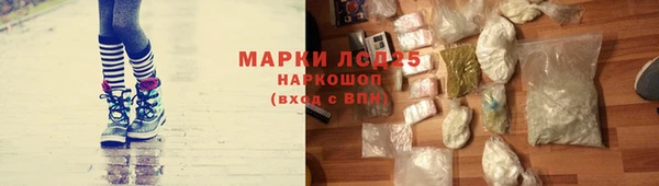 трава Белокуриха