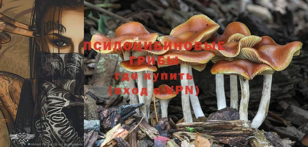 крисы Белоозёрский