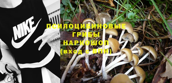 дмт Беломорск