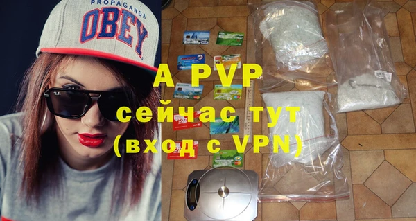 крисы Белоозёрский
