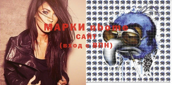 трава Белокуриха