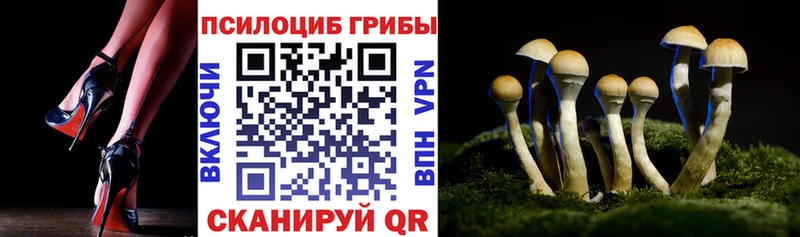 Галлюциногенные грибы GOLDEN TEACHER  Купить  Нарьян-Мар 