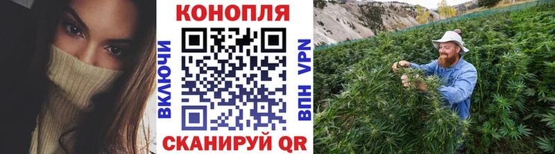 Канабис сатива Купить где Нарьян-Мар